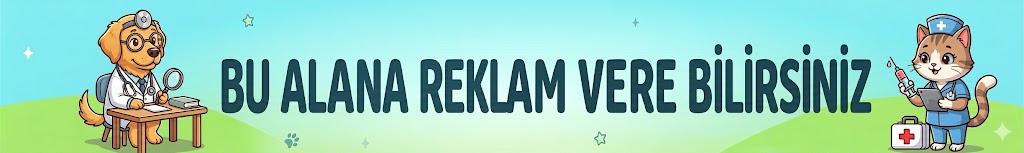 Reklam
